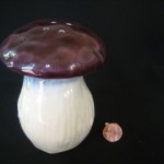 Mushroom Shaker by Greg Rowland