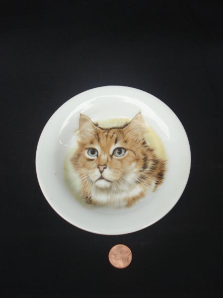 2a-kittydish