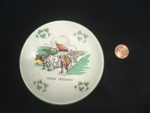 7a-ireland-dish