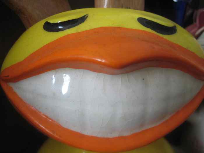 duckhead