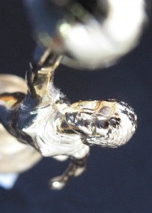 trophy-closeup