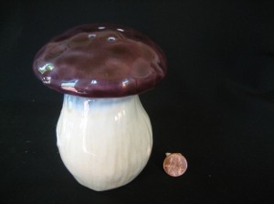 Mushroom Shaker